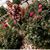 Trudy M. OldCrane's profile image