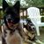 Yvette Y. Thornton's profile image