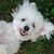 Terri Brickman's profile image