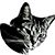 Victor Rowell's profile image
