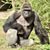 Kevin Kujawa's profile image