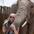 Melissa Pohl's profile image