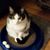 Frances Katy Hurtt Gay's profile image