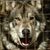 Bill Mc's profile image