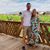 Julie Shanahan's profile image