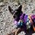 Kathy Osting Kwiecinski's profile image