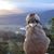Sharon Deel's profile image