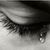 Zhakeleen M. Drallop's profile image