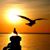 Nina T. White's profile image