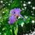 Anita Aker's profile image