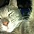 Marianne Sullivan Roan's profile image