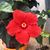Angie Stephens Bailey's profile image