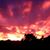 MichaelnRebekah Mitts's profile image