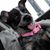 Debbie Graves-Klofft's profile image