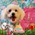 Lisa Bregant's profile image