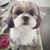 Sera Kim's profile image