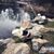 crystal2005's profile image