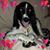 Dave Peterson's profile image