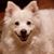 Cindy Baldelli's profile image