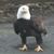 Terry Burke's profile image