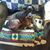 Cathy Pichan Hines's profile image