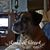 Barb Reamer's profile image