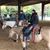 Cheryl A. Padgett's profile image