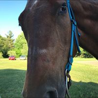 Jennifer Grames's profile image