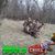 Jacob J Mollus's profile image