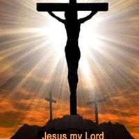 Donna Beyer's profile image