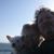 Steve N Lisa Kerr's profile image