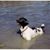 Nancy Kulesza's profile image