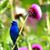 Teresa Waters Servidio's profile image