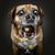 Melanie Moore's profile image