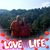 Shelly Spears Cowan's profile image