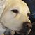 Chely Delgadillo's profile image