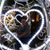 Dianna-lyn Rinkiewicz Boyd's profile image