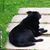 Amanda Oakes Shabatura's profile image