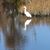 Becky Joy Penton's profile image