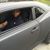 Abdalah Dolla Josma's profile image