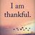 Margaret Rabelo- Carlson's profile image