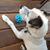 Louise Pallis's profile image