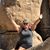 Mindy Tait's profile image