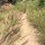Tania Loeffler-Phillips's profile image