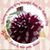 Sally Ann Renaud Citarelli's profile image