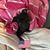 Patricia Calderone's profile image