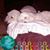 Becki Bjergum's profile image