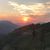 Tammi Tingey Parish's profile image