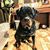 Jason C. Paparone's profile image