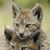 Lasandra Phillips's profile image